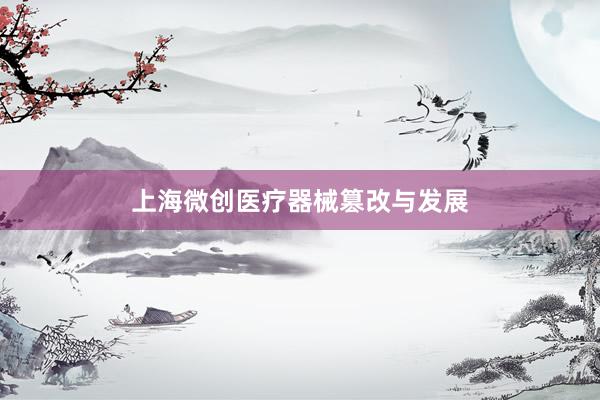 上海微创医疗器械篡改与发展